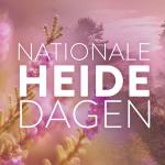 Nationale heidedagen