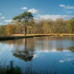 Fototentoonstelling 'Natuur in Focus'