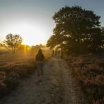 MaasMauve Heidedagen - Workshop Landschapsfotografie