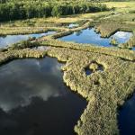 Nationaal Park in een notendop Munsterbos (geannuleerd)