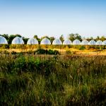 MaasMauve Heidedagen - Ecotron achter de schermen