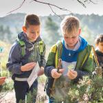 MaasMauve Heidedagen - Mega Crea wandeling