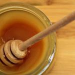 Week van de Smaak: Workshop (h)eerlijke smaken van honing