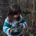 Forest School - mega crea natuuratelier