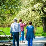 Bloesemwandeling Alden Biesen