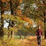 Vroege herfstwandeling