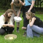 Nationaal Park pittig gekruid