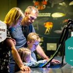 Laatste openingsdag Insectenmuseum Lieteberg