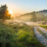 Nieuwjaarswandeling Mechelse heide