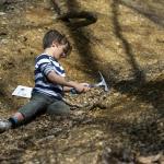 Fossielen Workshop - Forest School Kattevennen