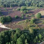 Struinen door de paarse heide