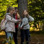 Forest School - bomenbingo