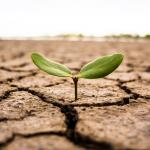 Lezing ‘Klimaatverandering: een recent fenomeen?’