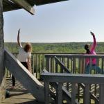 Yogawandeling op het blotevoetenpad.