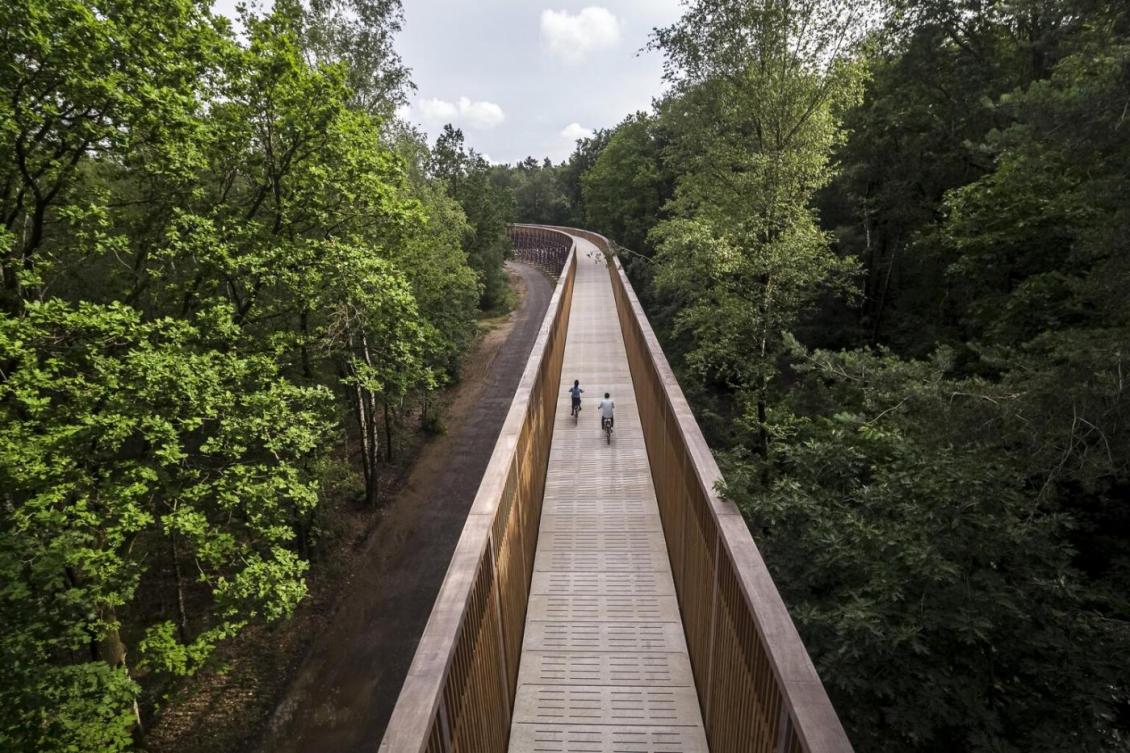 Cycling National Park Hoge Kempen