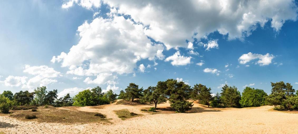 Wandelgebied Duinengordel