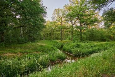 Opening Wandelgebied Munsterbos