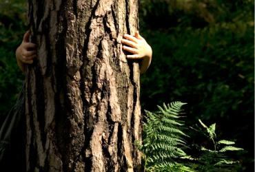 Herbronnen in de natuur bij dreigende burn-out