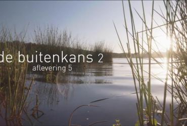 Buitenkans 2.5: de sint-jacobsvlinder