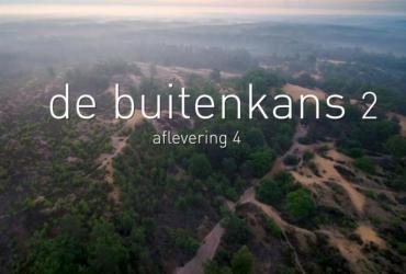 Buitenkans 2.4: de geelgors