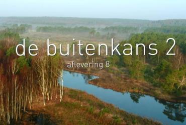 Buitenkans 2.8 : De Boomleeuwerik