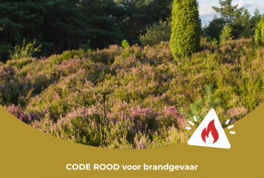 Brandgevaar in het Nationaal Park Hoge Kempen