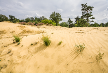 Opgelet: aanpassing wandelingen Duinengordel - update