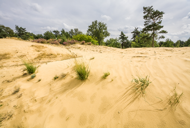 Opgelet: aanpassing wandelingen Duinengordel