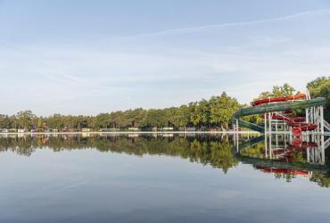 Zwemmen in het Nationaal Park Hoge Kempen