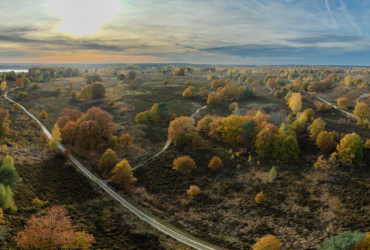 20 jaar Nationaal Park Hoge Kempen: gedragen door samenwerking