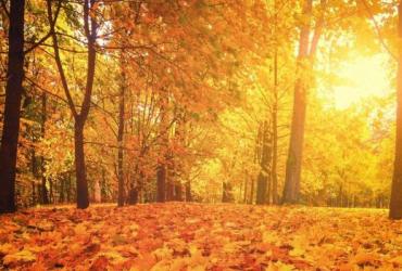 De herfst in geuren en kleuren