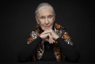 Jane Goodall komt naar Limburg