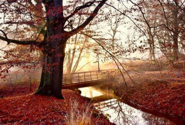 Vernieuwing Wandelgebied Munsterbos