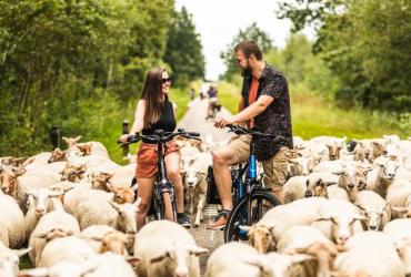 Nationaal Park Fahrradverleih