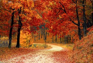 Autumn in the National Park