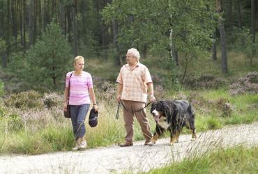 Toegankelijkheidsregeling