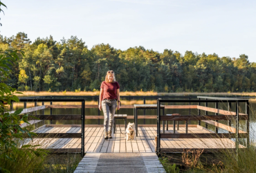 De leukste picknickplaatsen in het Nationaal Park Hoge Kempen