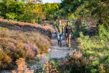 Toppers van heidewandelingen