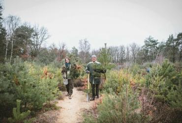 Een kerstden uit het Nationaal Park Hoge Kempen? 