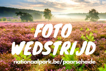 Paarse Heide: Fotowedstrijd + wandel- & fietsroutes 
