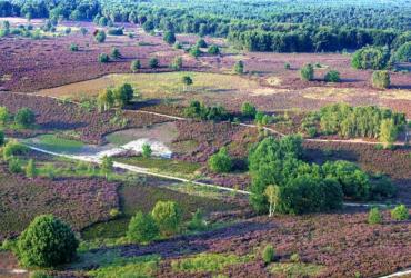 Premium Wandeling Pietersheim