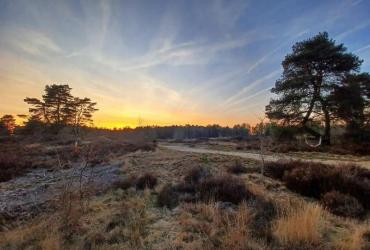 Topwandelingen (+20km wandellussen)