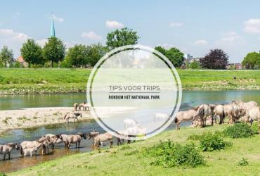 Tips voor trips rondom het Nationaal Park