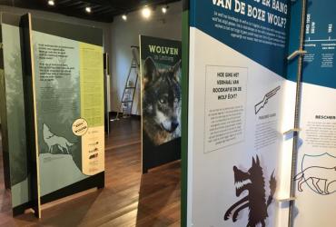 Pop-up Expo "Wolven in Limburg"