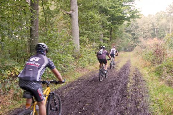 Cycling National Parc Hoge Kempen
