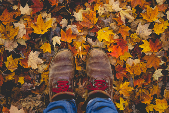 autumn walks with a ranger