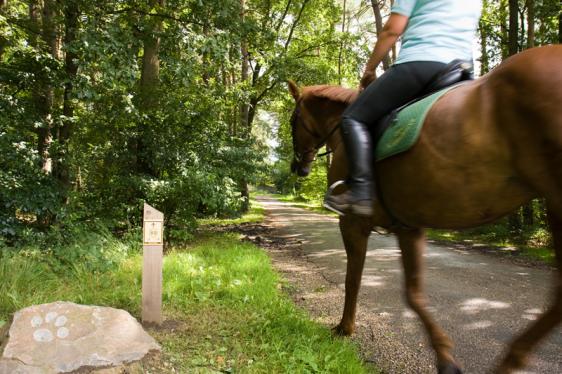 Paardrijden in het Nationaal Park Hoge Kempen