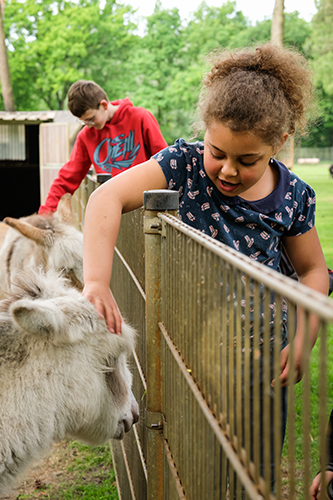 Pietersheim kinderboerderij